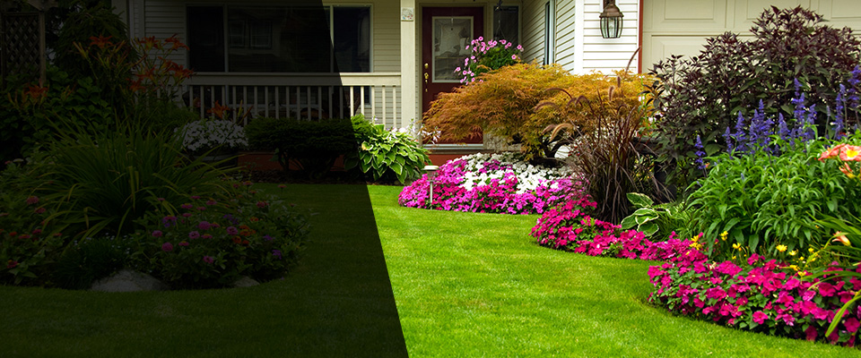Lorena Landscapers