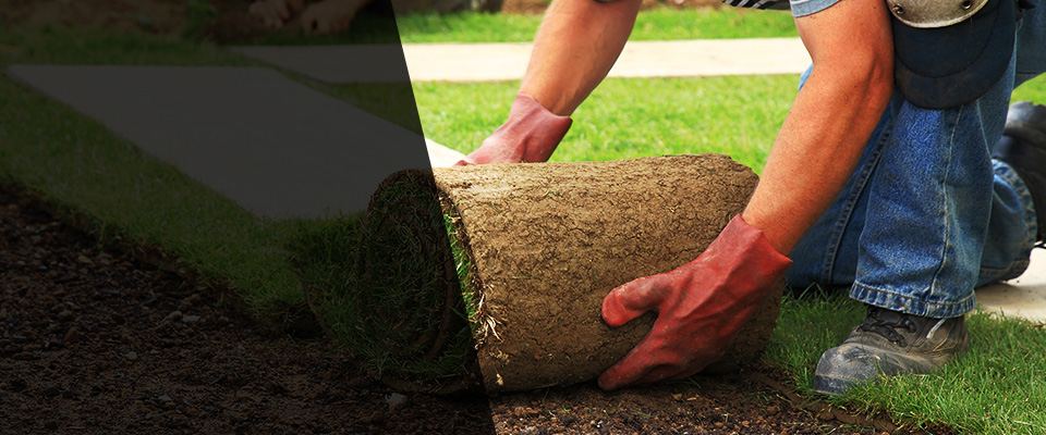 Lorena Landscapers